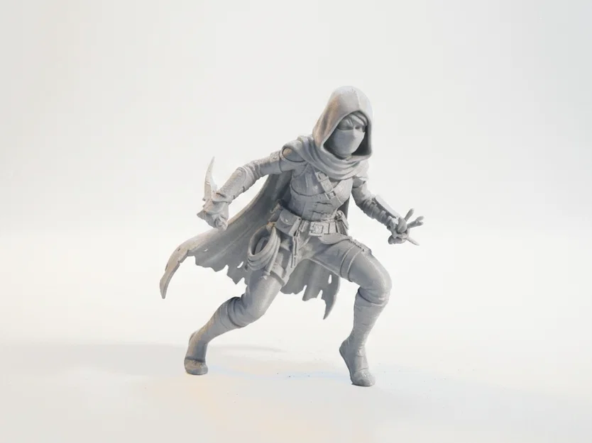 Mô hình Nữ Sát Thủ - Lady Assassin Figurine in 3D - Image 1