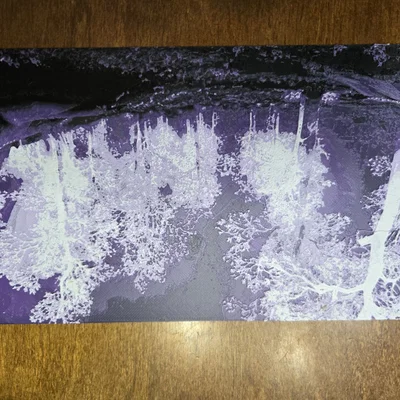 Crystalsong Forest Hueforge