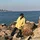 cguy_289717