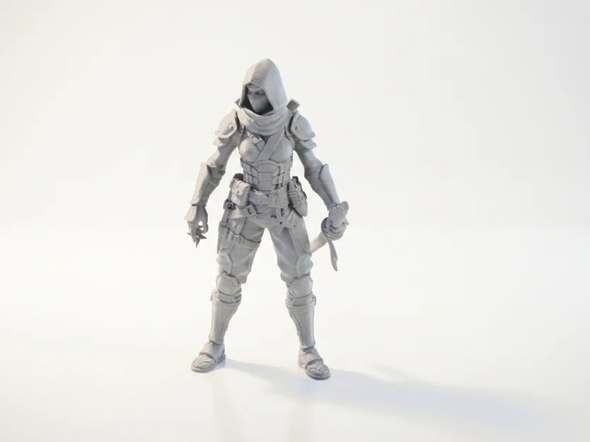 Mô hình Nữ Ninja - Tượng nhân vật nữ 3D in ấn - Image 1