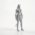 Mô Hình 3D Nữ Chiến Binh Fantasy - Lady Warrior Fantasy Figurine - Thumbnail 2
