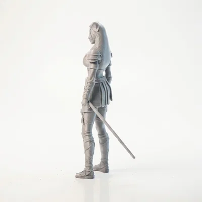 Mô Hình 3D Nữ Chiến Binh Fantasy - Lady Warrior Fantasy Figurine