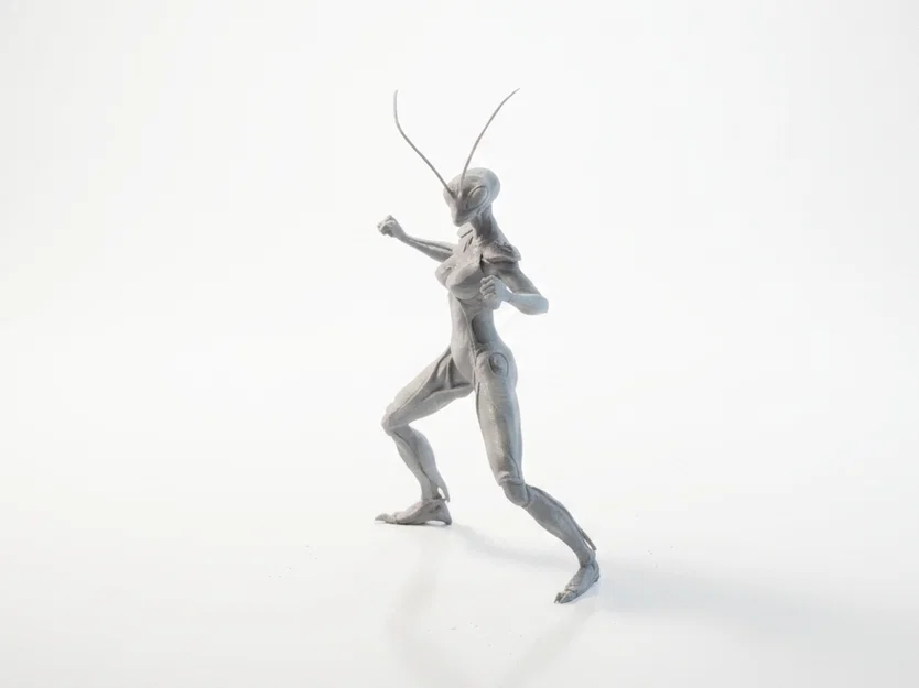 Mô hình nữ chiến binh bọ ngựa (Mantis Lady) - File in 3D - Image 1