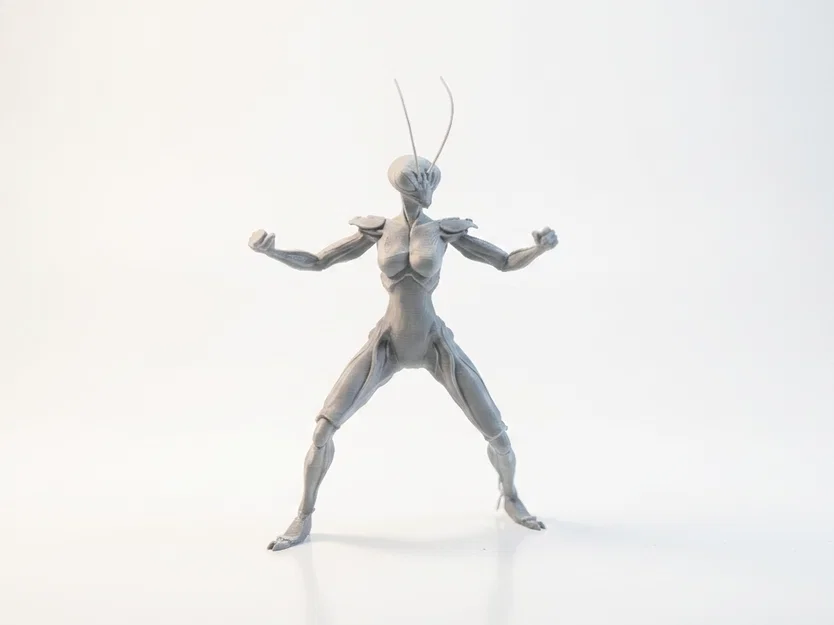 Mô hình nữ chiến binh bọ ngựa (Mantis Lady) - File in 3D - Image 2