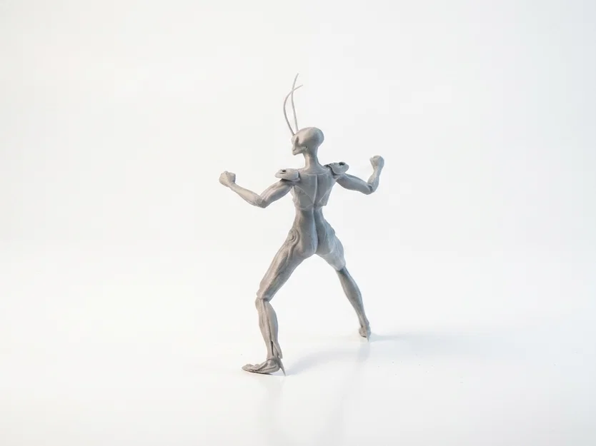 Mô hình nữ chiến binh bọ ngựa (Mantis Lady) - File in 3D - Image 4