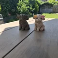 Nàng công chúa bò Highland lông xù - Fluffy Highland Princess - Thumbnail 2