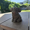 Nàng công chúa bò Highland lông xù - Fluffy Highland Princess - Thumbnail 4