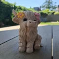 Nàng công chúa bò Highland lông xù - Fluffy Highland Princess - Thumbnail 5