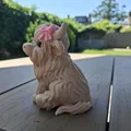 Nàng công chúa bò Highland lông xù - Fluffy Highland Princess - Thumbnail 8