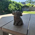 Nàng công chúa bò Highland lông xù - Fluffy Highland Princess - Thumbnail 9