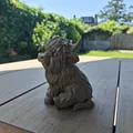 Nàng công chúa bò Highland lông xù - Fluffy Highland Princess - Thumbnail 10