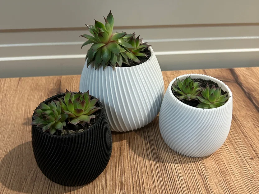 Chậu sen đá Succulent spiral pot: Thiết kế tối giản, tinh tế - Image 1