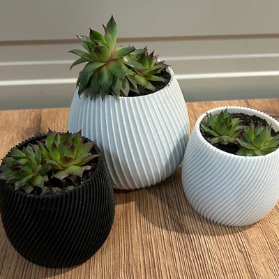 Chậu sen đá Succulent spiral pot: Thiết kế tối giản, tinh tế