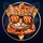 PIZZA_CAT