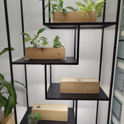 Chậu Cây Tự Chế Từ Hộp Gỗ Rượu Vang