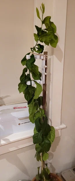 Dụng cụ nắn thẳng thân cây (Plant Straightener) - Image 1