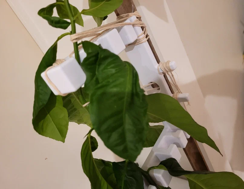 Dụng cụ nắn thẳng thân cây (Plant Straightener) - Image 2