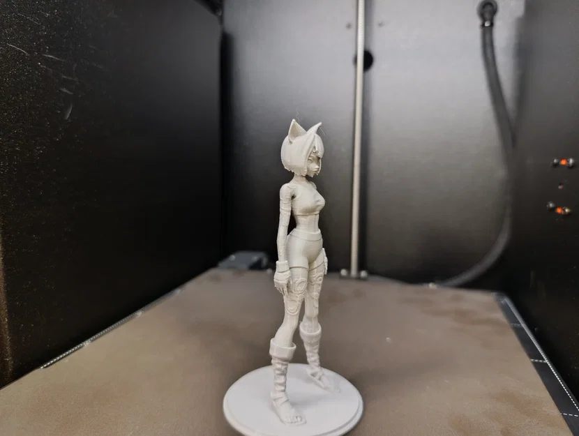 Anime Cat-Girl Warrior: Mô hình nữ chiến binh tai mèo (Tư thế đứng) - Image 3