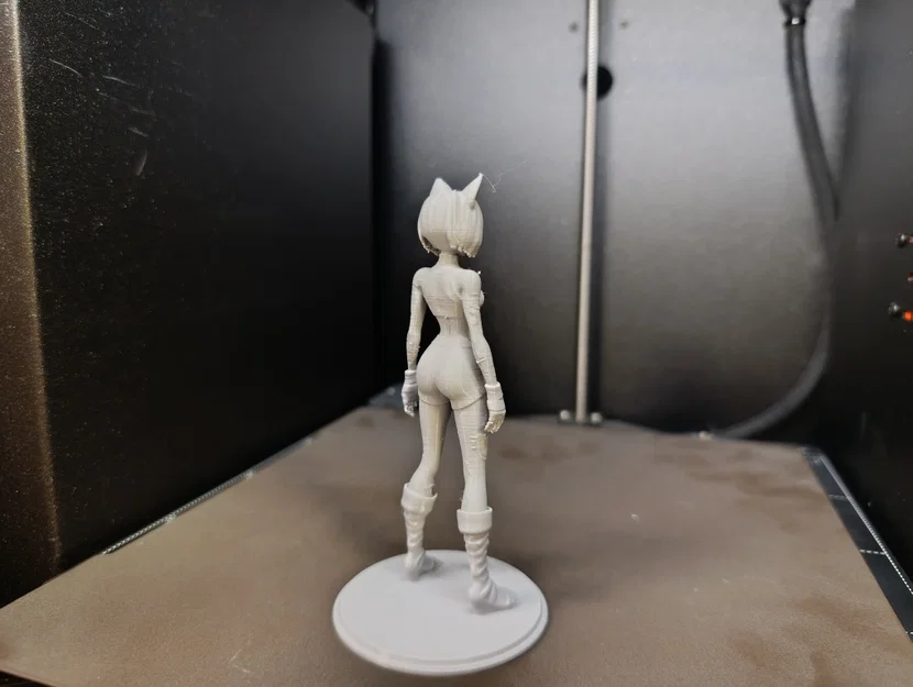 Anime Cat-Girl Warrior: Mô hình nữ chiến binh tai mèo (Tư thế đứng) - Image 4