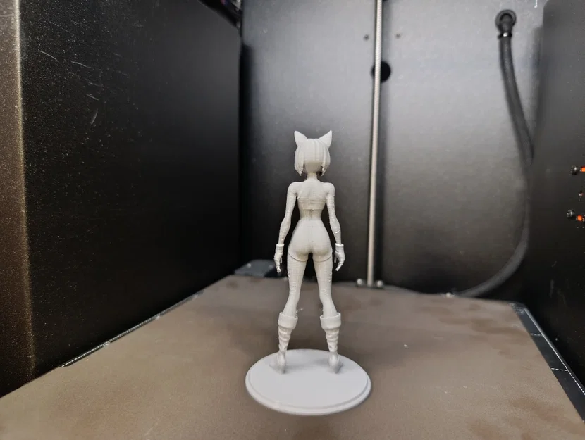 Anime Cat-Girl Warrior: Mô hình nữ chiến binh tai mèo (Tư thế đứng) - Image 5