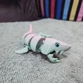 Cá mập khớp nối Reinforced Articulated Shark - Hỗ trợ gắn mắt thủy tinh - Thumbnail 8