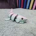 Cá mập khớp nối Reinforced Articulated Shark - Hỗ trợ gắn mắt thủy tinh - Thumbnail 13