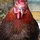 ExpresswayCin_142921