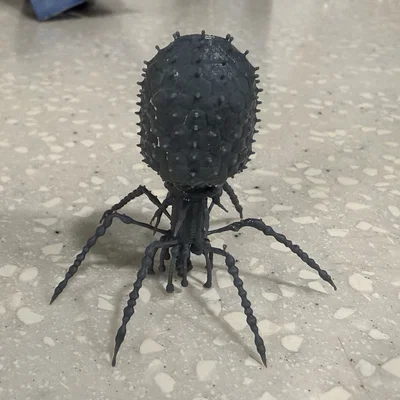 Mô hình virus Bacteriophage