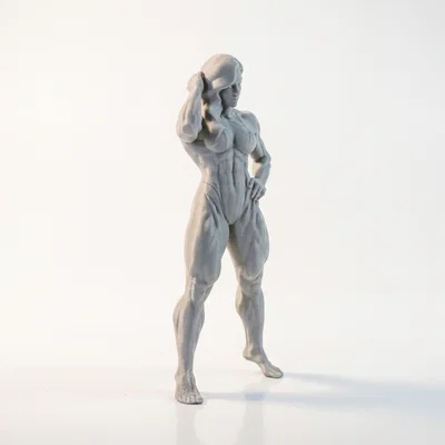 Mô hình 3D Nữ Vận Động Viên Thể Hình - Muscular Woman Figurine