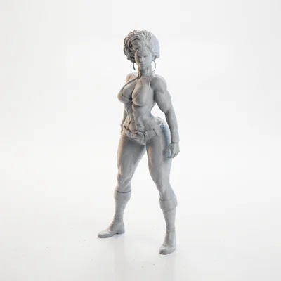 Mô hình nữ chiến binh cơ bắp - File in 3D (Muscular Woman Figurine)