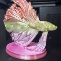 Mô hình điêu khắc cá Betta (Kampffisch) nghệ thuật để bàn đẹp mắt - Thumbnail 3