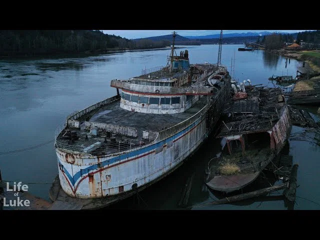 Mô hình tàu MV Queen of Sidney (BCFerries) (Đa sắc màu!) - Image 3