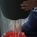 Bộ bát đỡ cho xô trồng cây tự tưới - Thumbnail 3