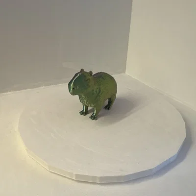 Phông nền chụp ảnh cho mô hình 3D