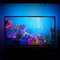 AmbiBox - Hệ thống đèn nền TV DIY tiết kiệm và mượt mà - Thumbnail 4