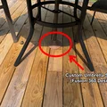 Đế Bảo Vệ Sàn Gỗ Chân Dù Patio - Thiết Kế Ôm Sát, Chống Trầy Xước - Thumbnail 2