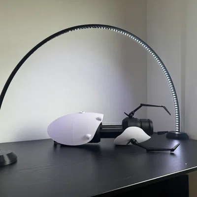 Cầu đèn LED, hai dải sáng