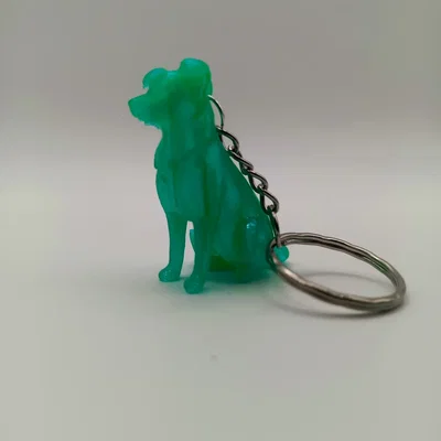 Móc khóa hình chú chó Border Collie