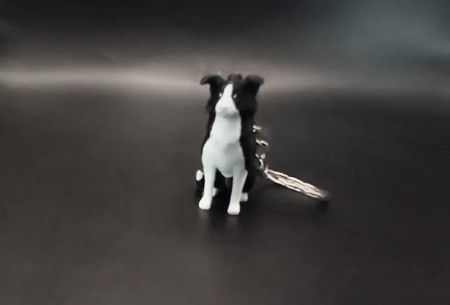 Móc khóa hình chú chó Border Collie - Image 4