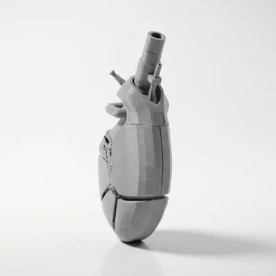Mô hình trái tim giải phẫu người - File in 3D chất lượng cao