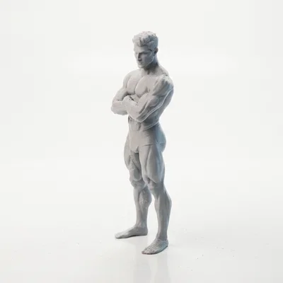 Mô Hình Tượng Bodybuilder Thể Hình In 3D Độc Đáo