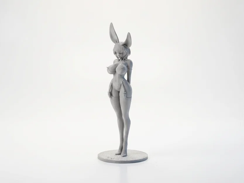 Mô Hình 3D Cô Nàng Thỏ Bunny Girl Anime Sưu Tầm - Image 1