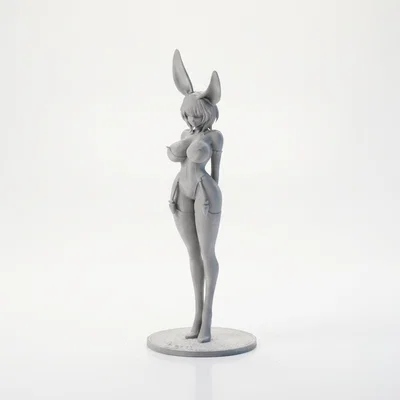 Mô Hình 3D Cô Nàng Thỏ Bunny Girl Anime Sưu Tầm