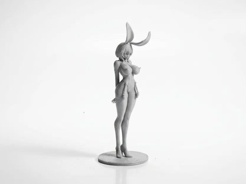 Mô Hình 3D Cô Nàng Thỏ Bunny Girl Anime Sưu Tầm - Image 2
