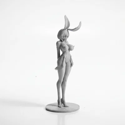 Mô Hình 3D Cô Nàng Thỏ Bunny Girl Anime Sưu Tầm