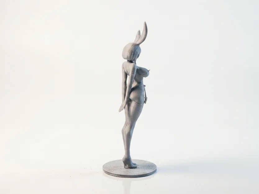 Mô Hình 3D Cô Nàng Thỏ Bunny Girl Anime Sưu Tầm - Image 3