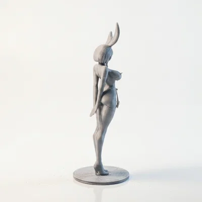 Mô Hình 3D Cô Nàng Thỏ Bunny Girl Anime Sưu Tầm