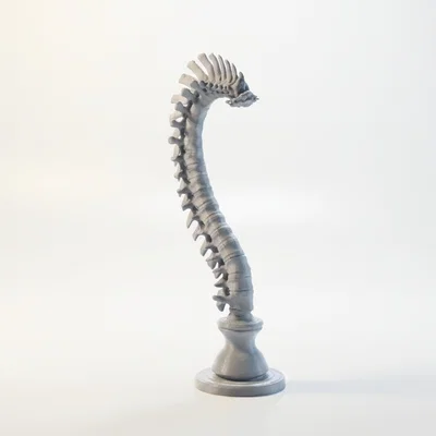 Mô hình điêu khắc cột sống giải phẫu in 3D