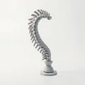 Mô hình điêu khắc cột sống giải phẫu in 3D - Thumbnail 3
