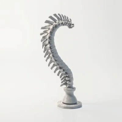 Mô hình điêu khắc cột sống giải phẫu in 3D